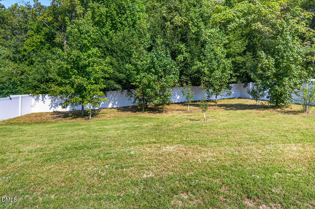 248 Kavanaugh Road Wake Forest, NC 27587 - Photo 45 of 54 View of fruit and nut trees in back yard