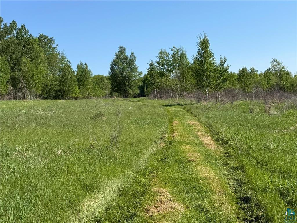 54003 Dollar Lake Road Sandstone, MN 55072 - Photo 18 of 40
