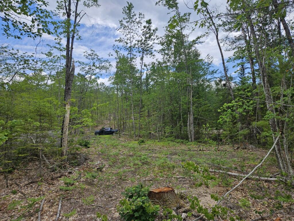 19 A Quaker Ridge Road Leeds, ME 04263 - Photo 5 of 37 20260716_132801