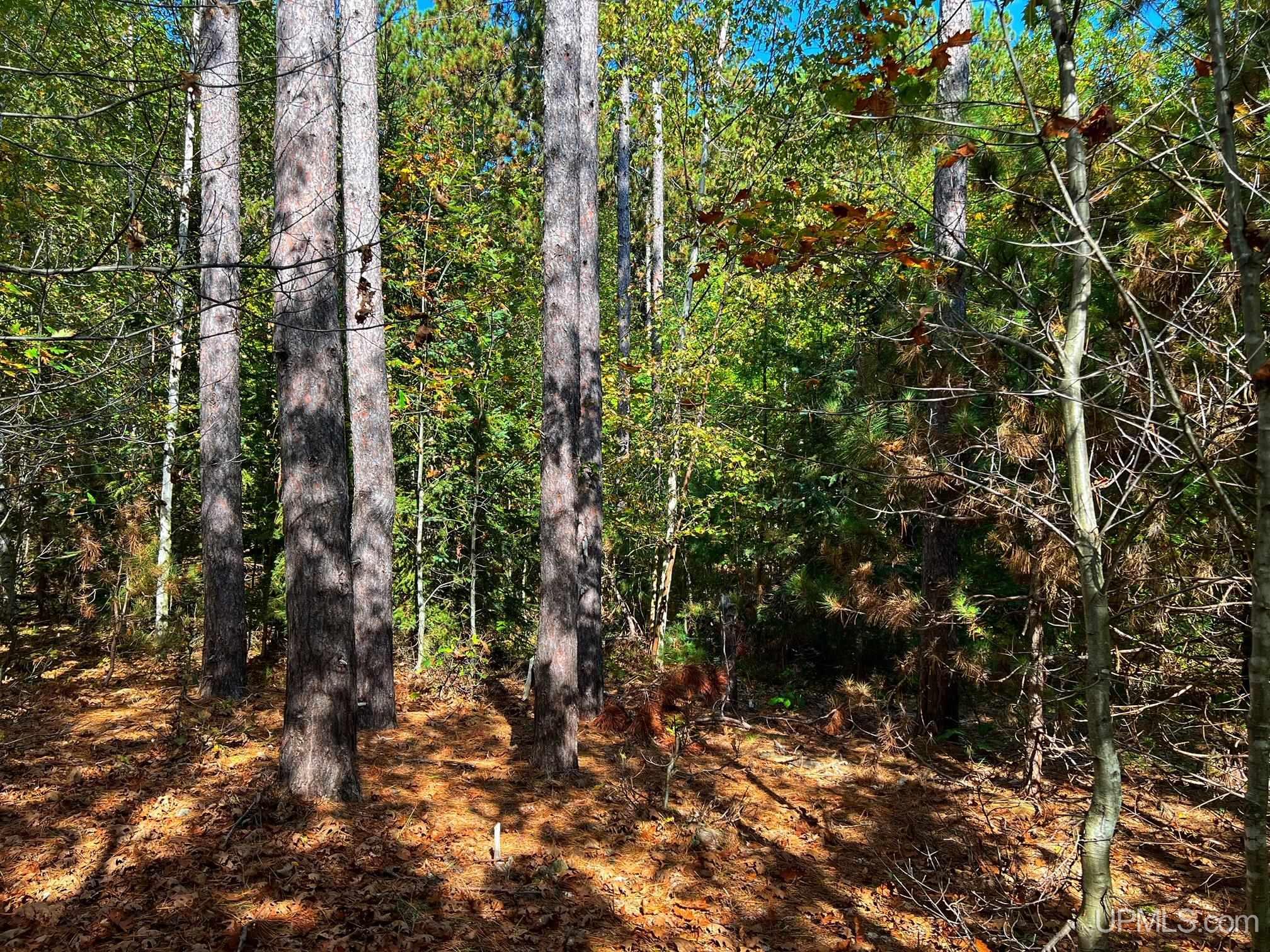 Tbd3 Tbd3 Oak Point Road Atlantic Mine, MI 49905 - Photo 7 of 21