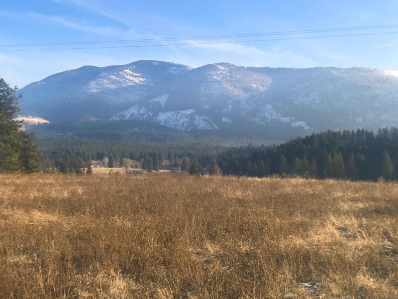 651 Williams Lake Road Colville, WA 99114 - Photo 1 of 10