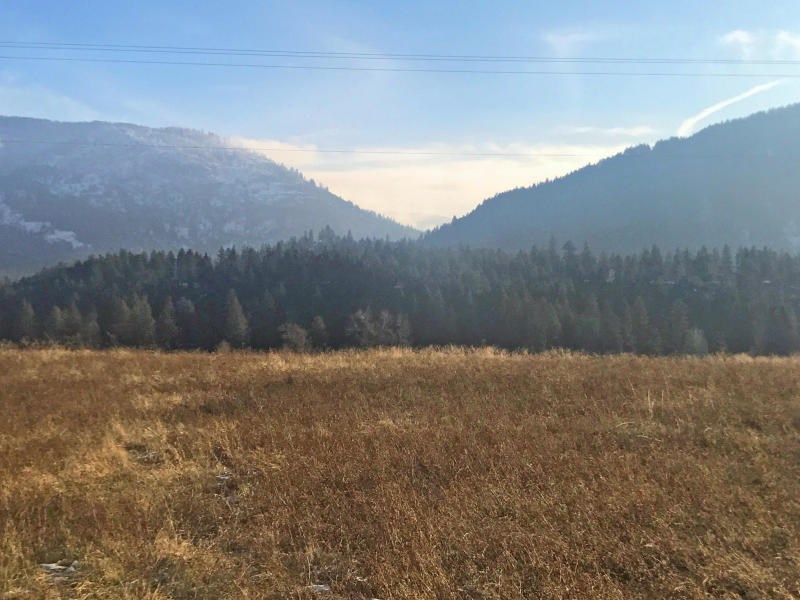 651 Williams Lake Road Colville, WA 99114 - Photo 2 of 10
