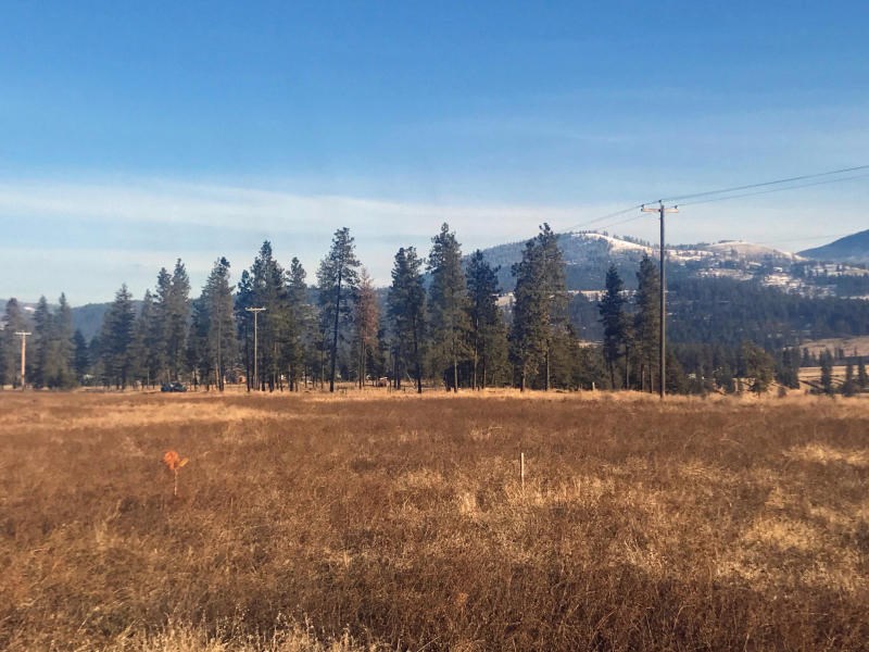 651 Williams Lake Road Colville, WA 99114 - Photo 3 of 10