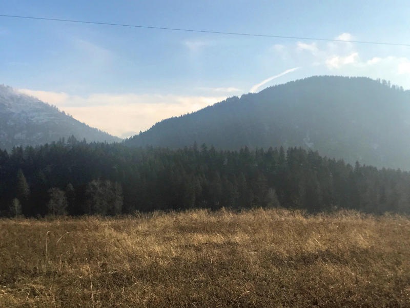 651 Williams Lake Road Colville, WA 99114 - Photo 5 of 10