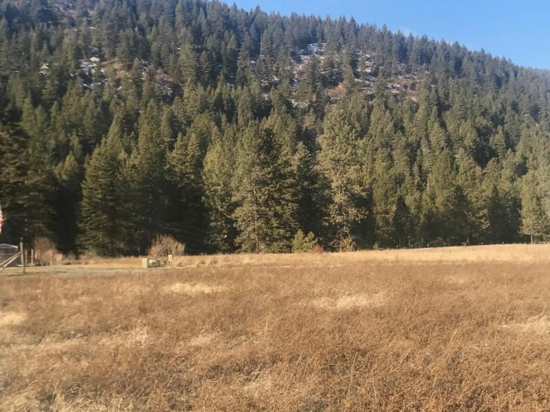 651 Williams Lake Road Colville, WA 99114 - Photo 6 of 10