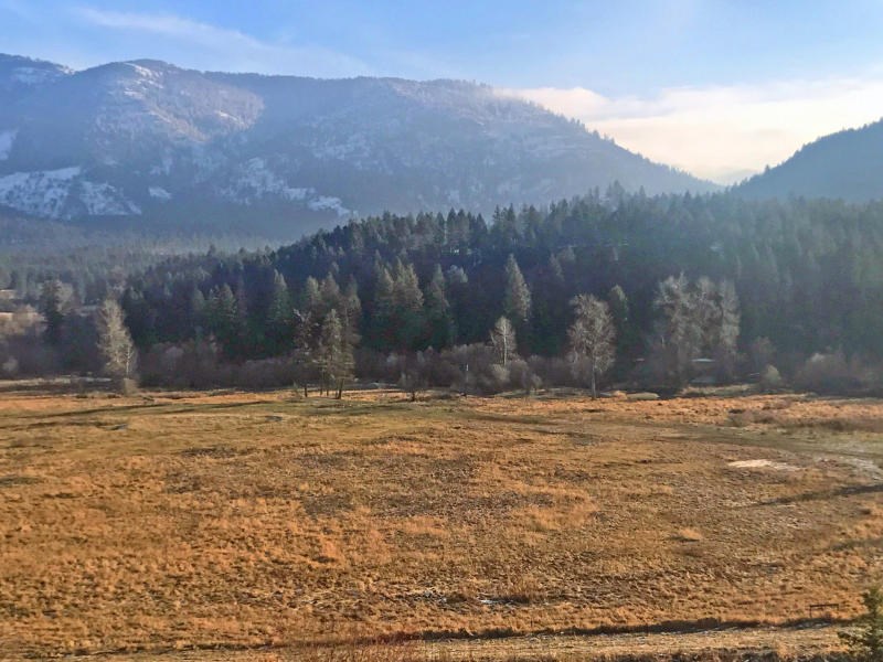 651 Williams Lake Road Colville, WA 99114 - Photo 8 of 10