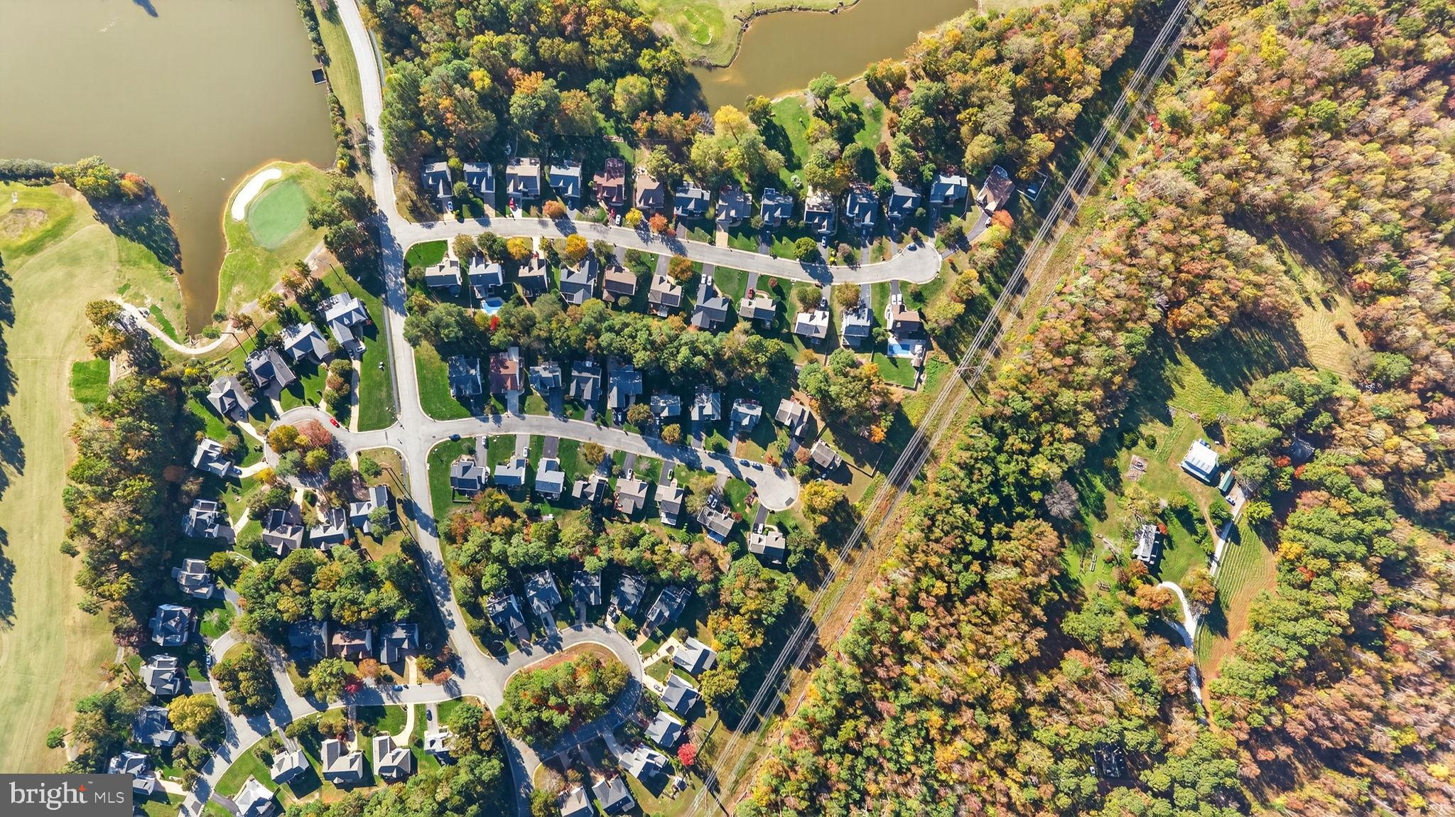 8518 Easton Ridge Place Chesterfield, VA 23832 - Photo 46 of 48 Charming suburban landscape in autumn hues.