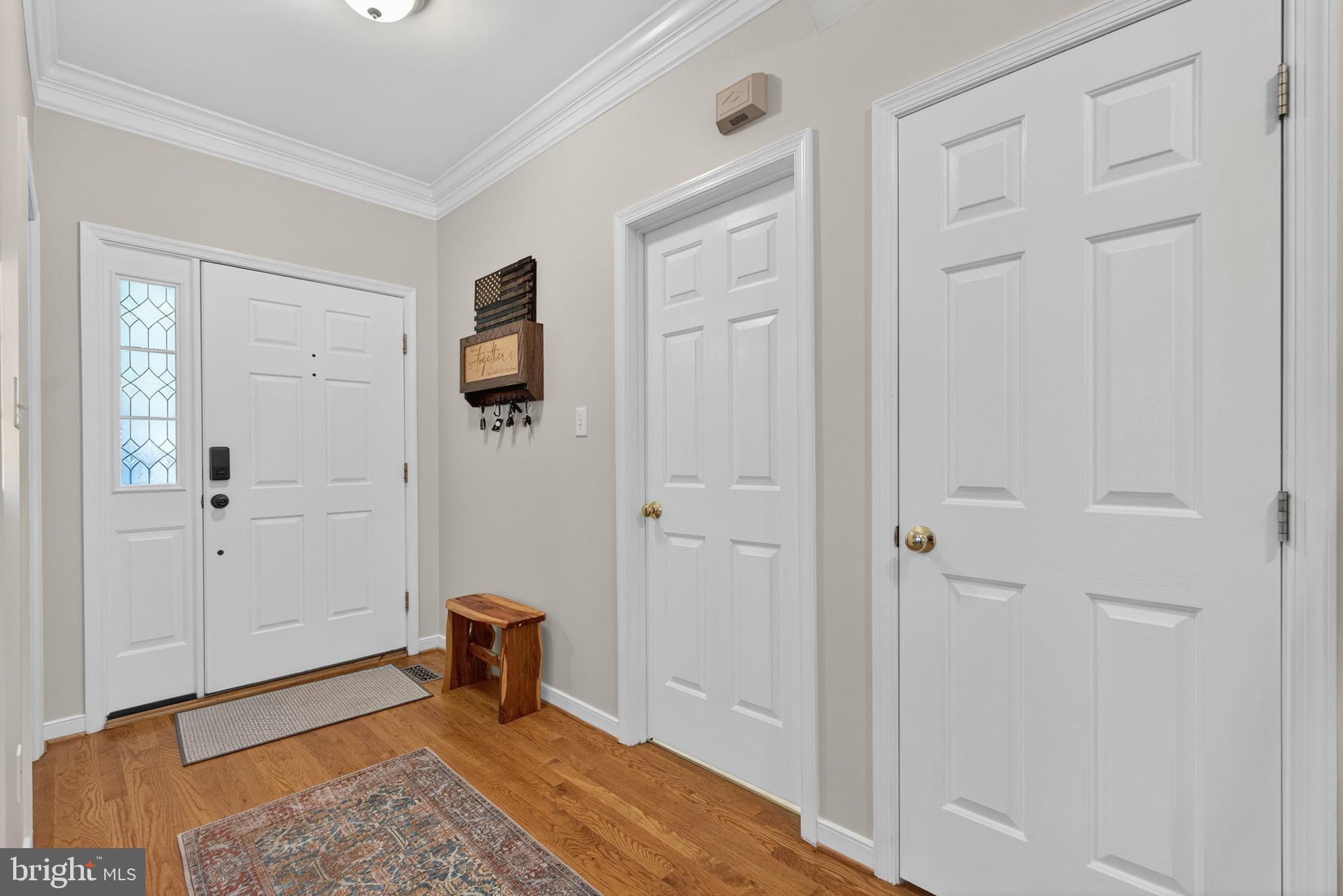 8518 Easton Ridge Place Chesterfield, VA 23832 - Photo 8 of 48 Welcoming entryway with classic charm.