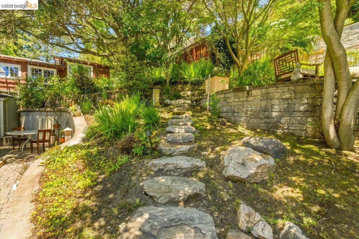 1631 La Vereda Road Berkeley, CA 94709 - Photo 25 of 42 Stone pathway ascending a landscaped hillside featuring mature trees and established greenery