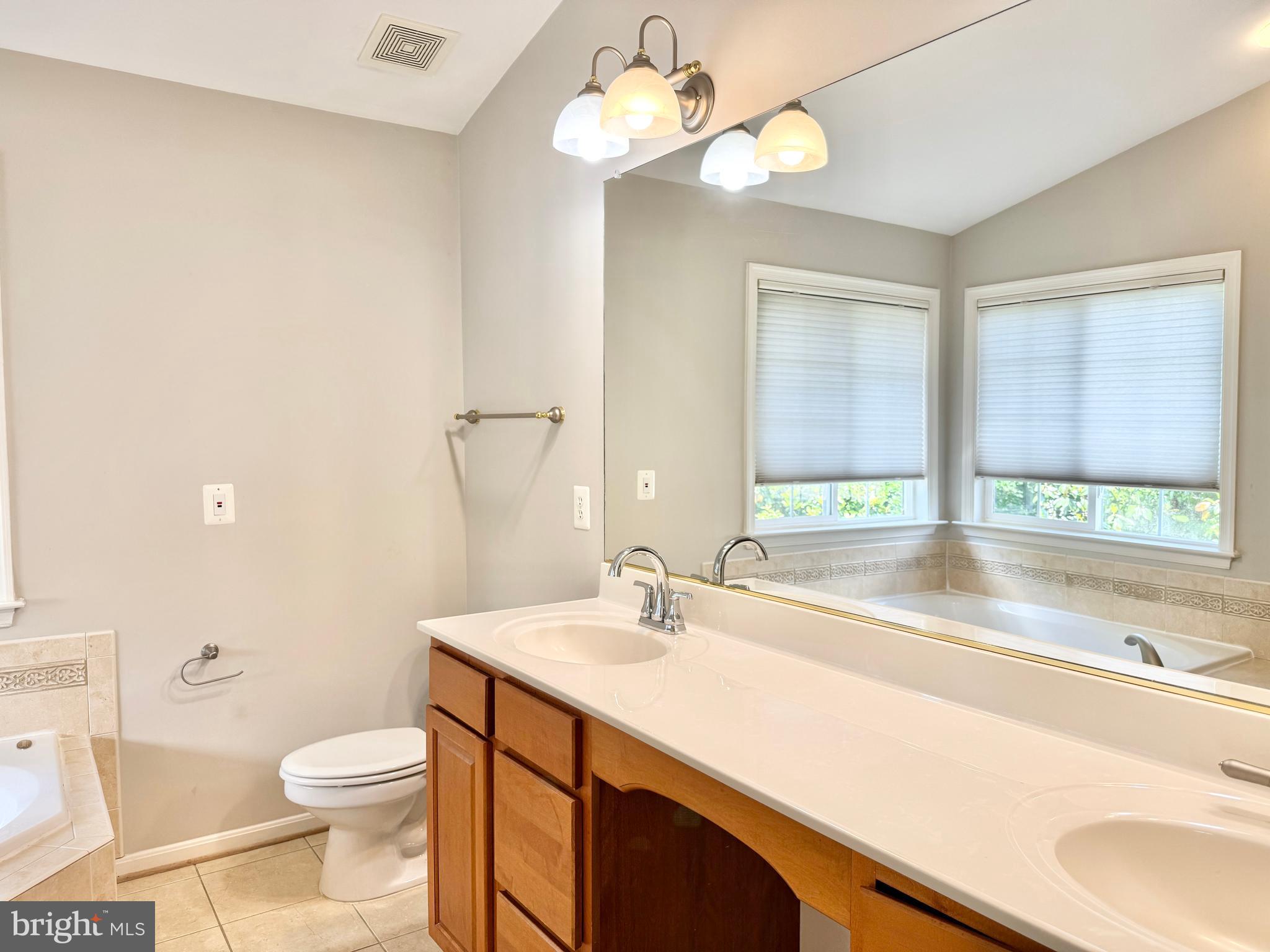 3721 Katie Place Triangle, VA 22172 - Photo 19 of 39 a bathroom with a sink a toilet and a large mirror