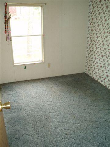 1582 North Maple Island Road Hesperia, MI 49421 - Photo 4 of 10 Additional Photo