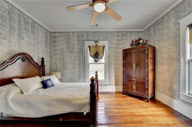 a view of a garden from a window