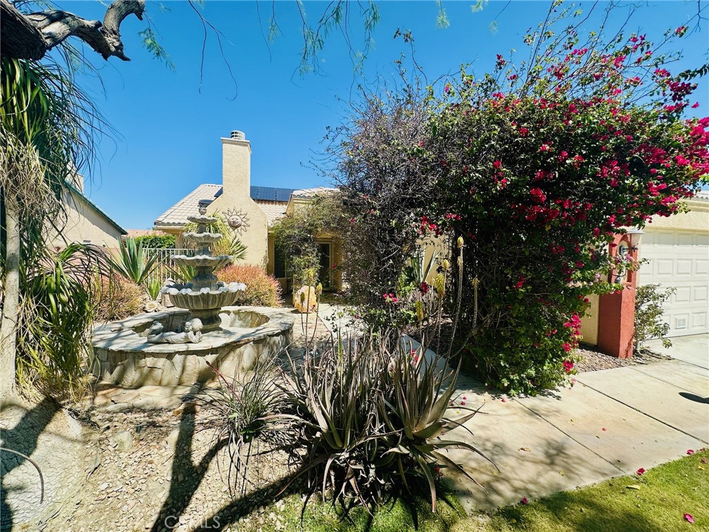 67810 Ontina Road Cathedral City, CA 92234 - Photo 5 of 43 a view of a yard with plants