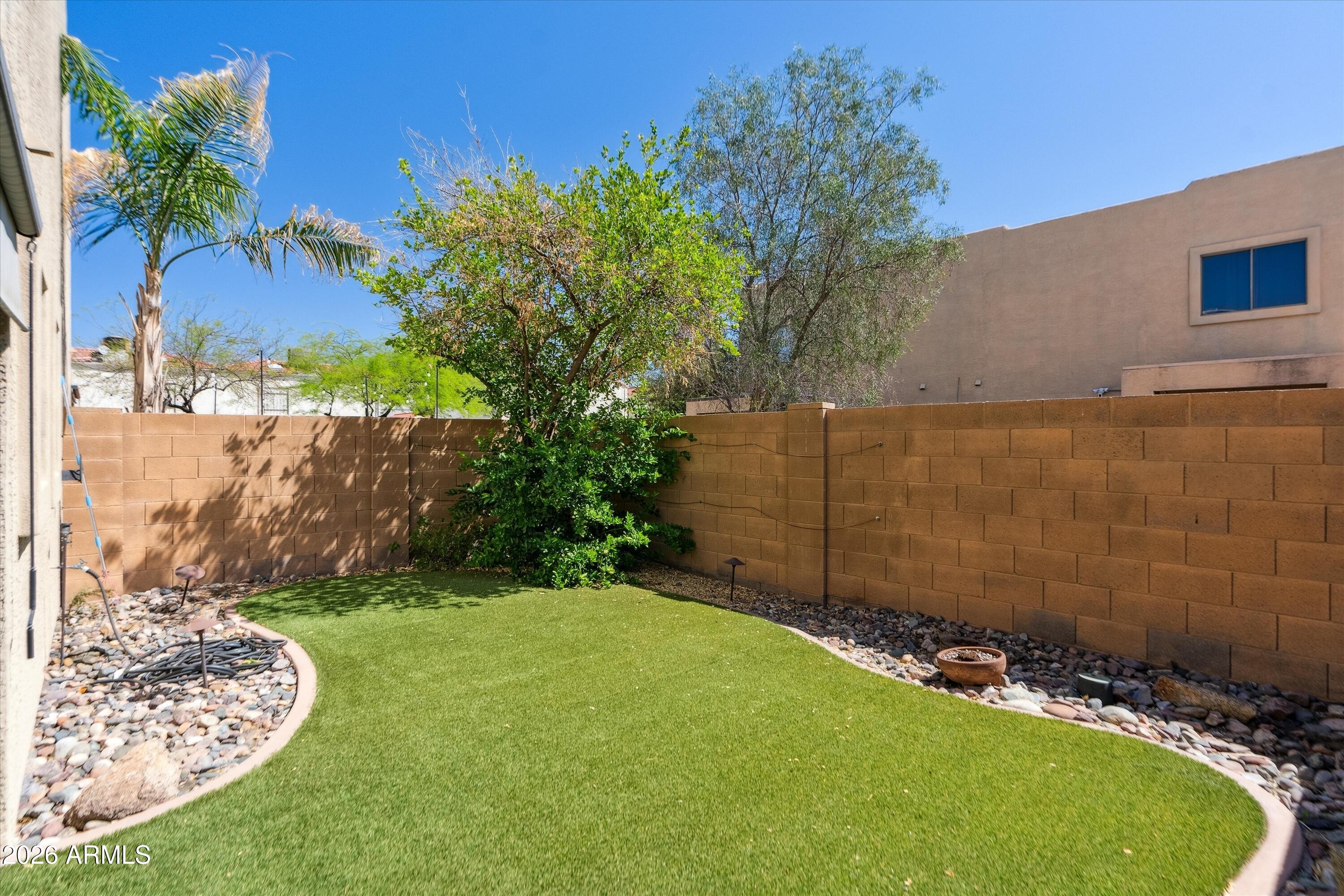 15649 North 29th Place Phoenix, AZ 85032 - Photo 3 of 35 a view of a backyard with plants and a large tree