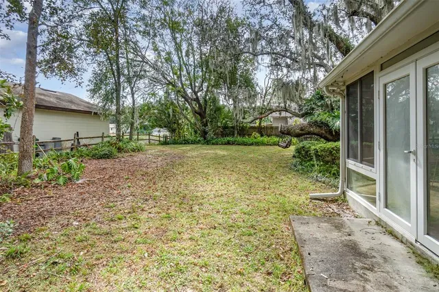 a view of a yard with potted plants and large tree