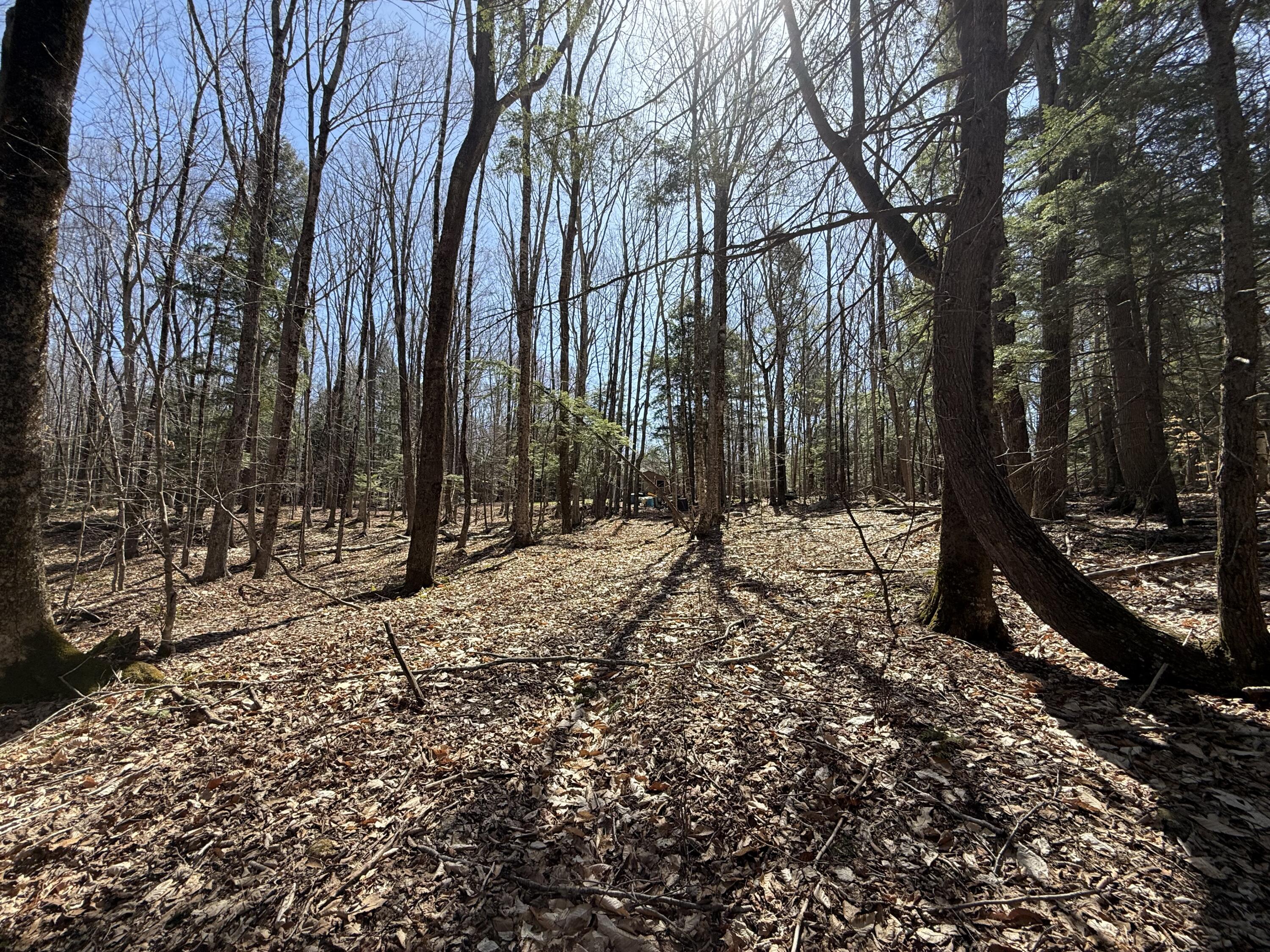 21 Curtis Road Freeport, ME 04032 - Photo 17 of 18