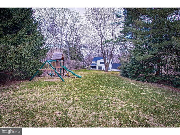 200 Spencer Road Devon, PA 19333 - Photo 20 of 20 Back Yard
