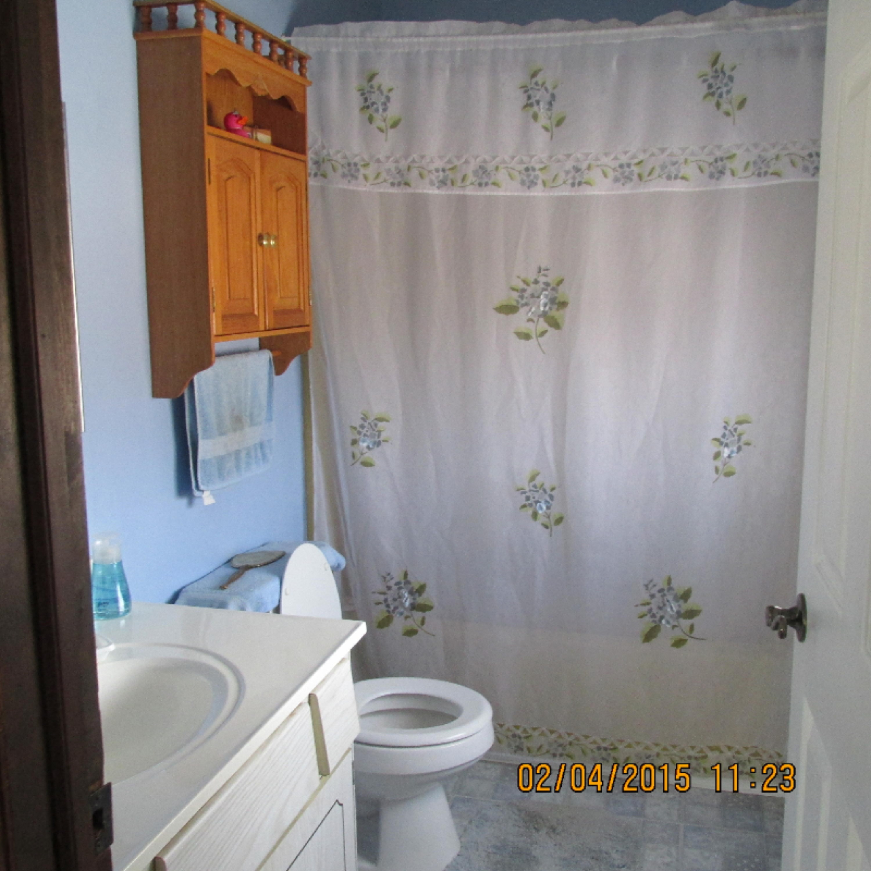 108 West Colon Road Coldwater, MI 49036 - Photo 11 of 13 Colon Rd 011.JPG