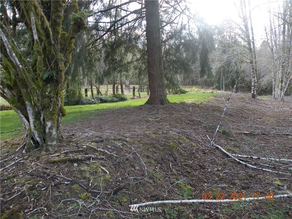 0 Mill Creek Road Raymond, WA 98577 - Photo 2 of 4 Gallery Image 2