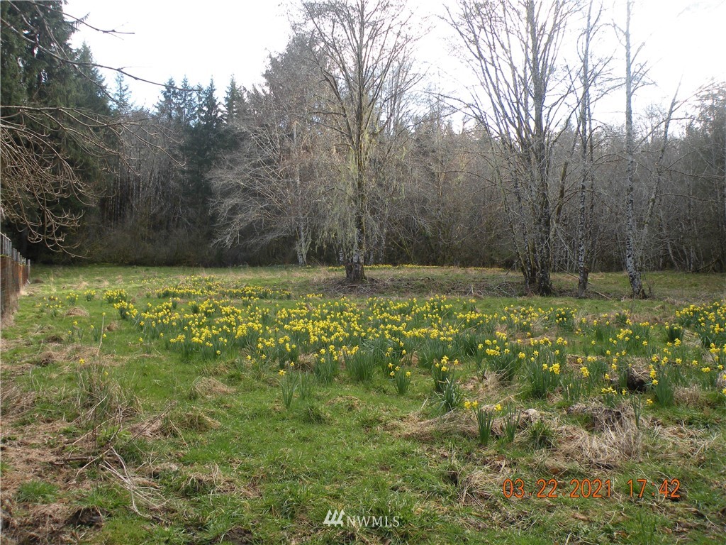 0 Mill Creek Road Raymond, WA 98577 - Photo 3 of 4 Gallery Image 3