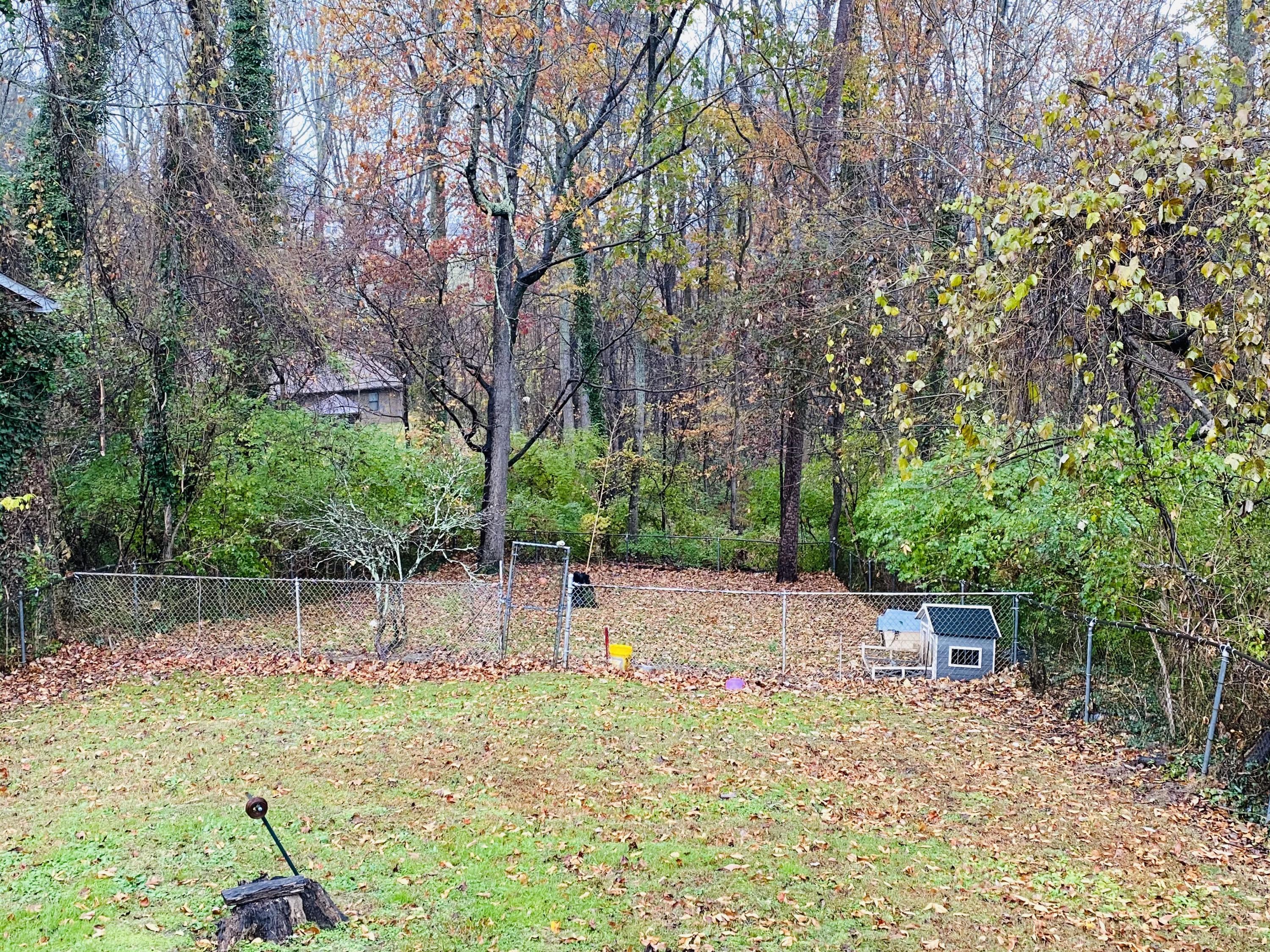 207 Wadsworth Place Oak Ridge, TN 37830 - Photo 3 of 3 Fenced back yard