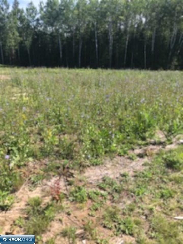 Tbd Mud Hole Road Side Lake, MN 55781 - Photo 11 of 24
