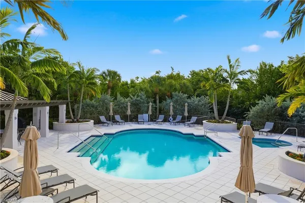 a view of a swimming pool with a lawn chairs and palm tree
