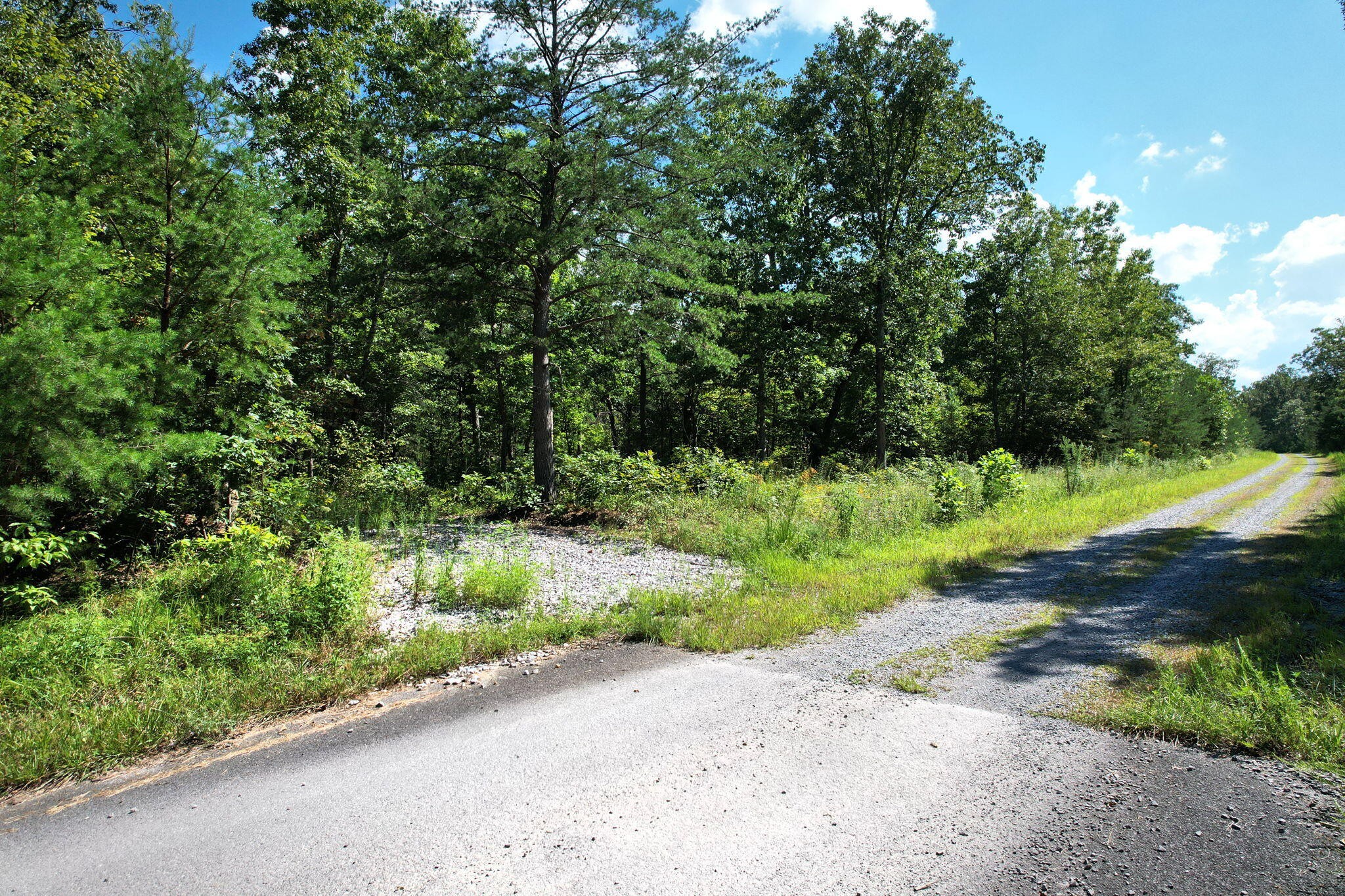 0 Big Bluff View Road Pikeville, TN 37367 - Photo 1 of 12 Gallery Image 1