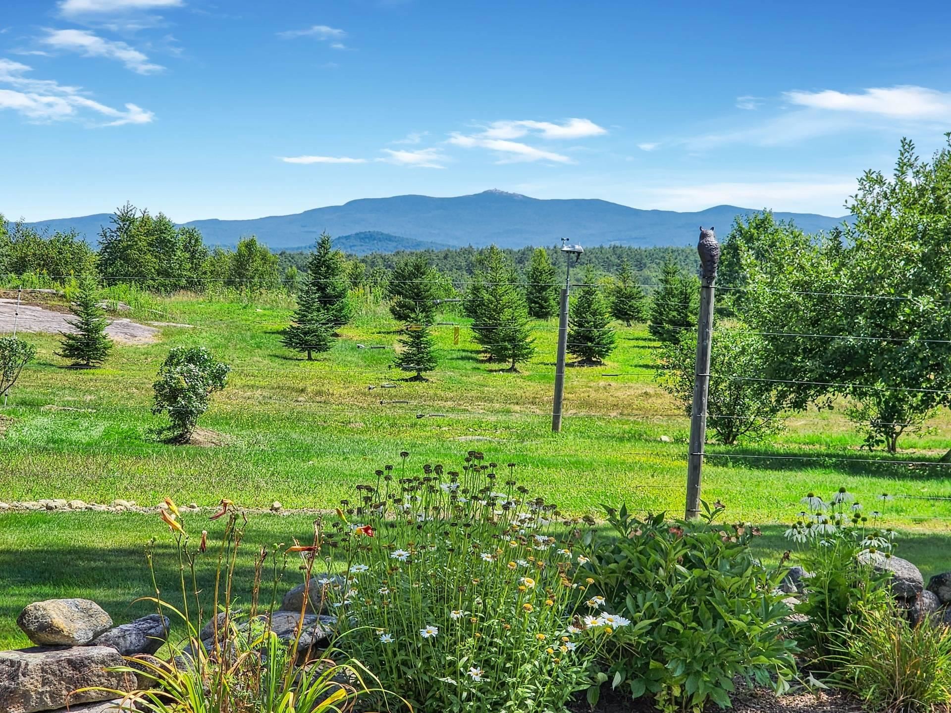 122 Anderson Hill Road Enfield, NH 03748 - Photo 20 of 37 Gallery Image 20