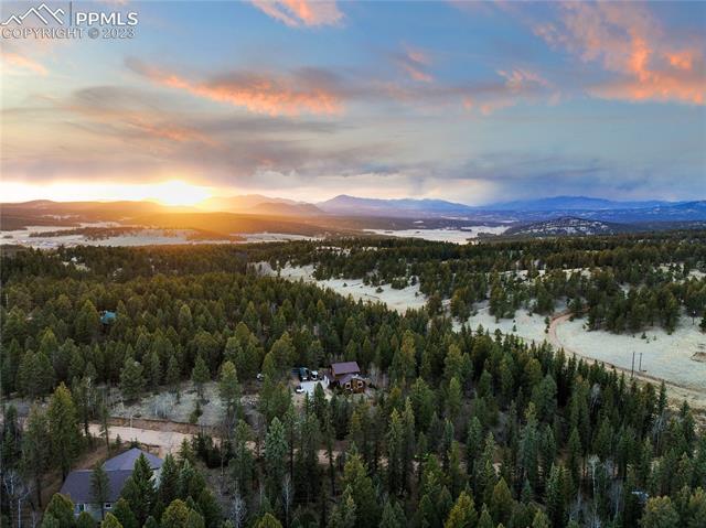 135 Pinewood Road Florissant, CO 80816 - Photo 3 of 29