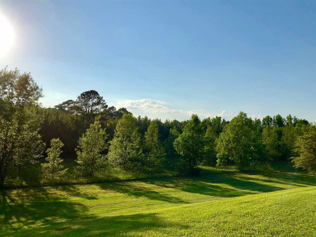 818 Highway 25 Carthage, MS 39051 - Photo 8 of 48 Photo 8