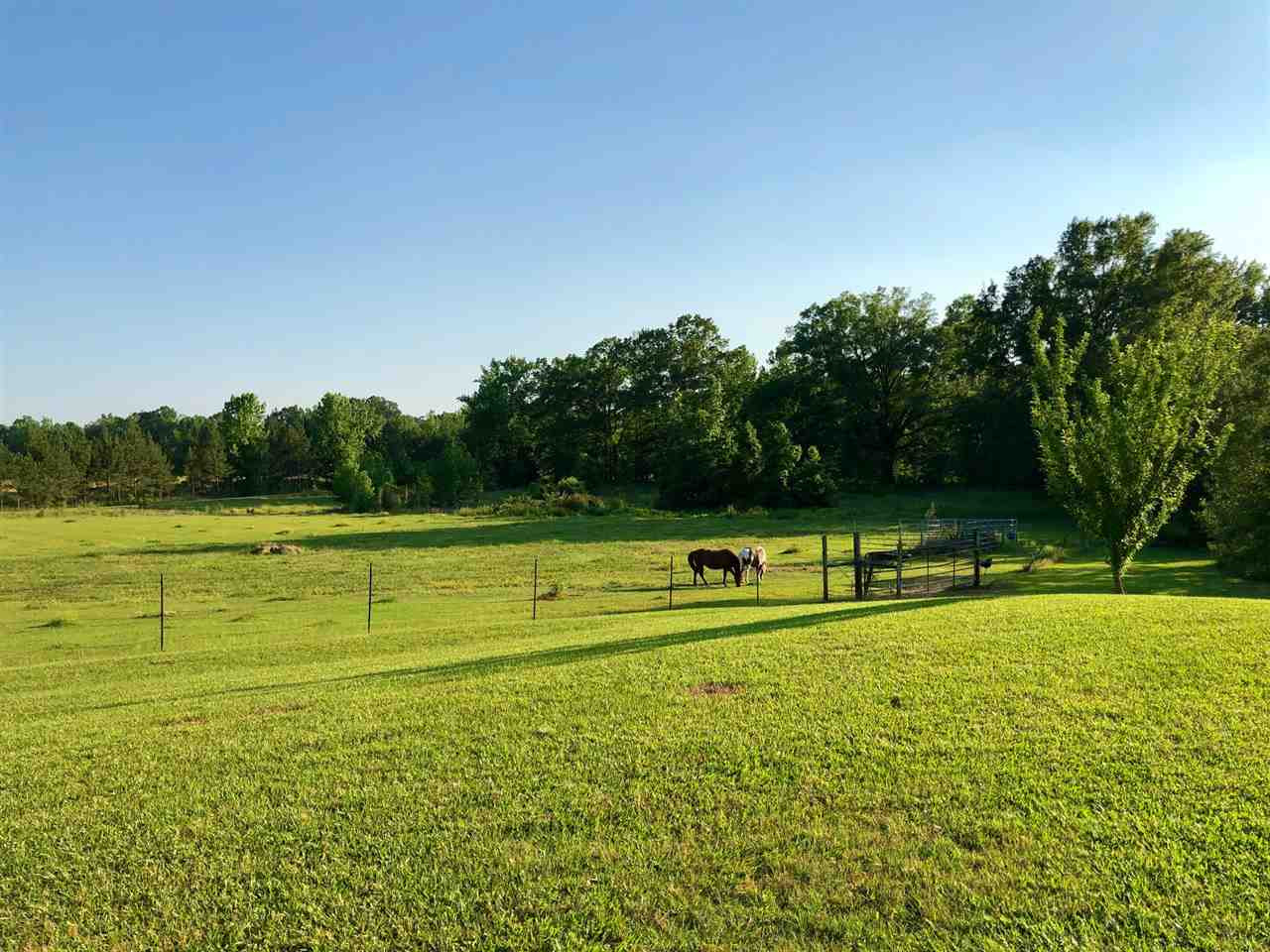 818 Highway 25 Carthage, MS 39051 - Photo 9 of 48 Photo 9