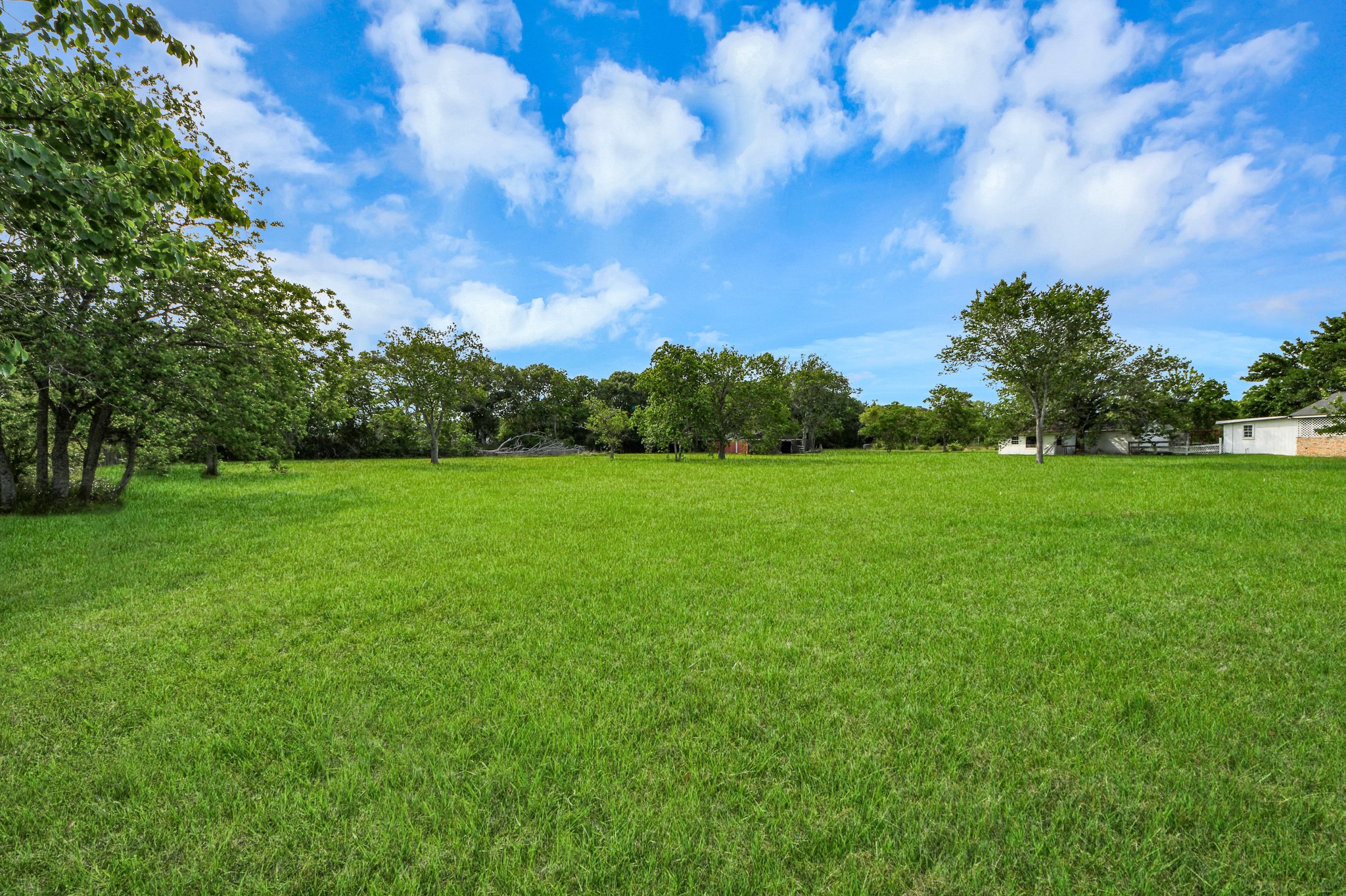 12746 Roy Road Pearland, TX 77581 - Photo 7 of 47 Expansive, lush green lot with scattered trees, offering open space and a serene, rural feel. Ideal for building a dream home with plenty of room for outdoor activities.