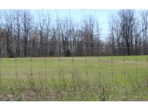 Lot 4 Fish Road Bloomington, IN 47408 - Photo 4 of 5