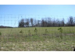Lot 4 Fish Road Bloomington, IN 47408 - Photo 5 of 5
