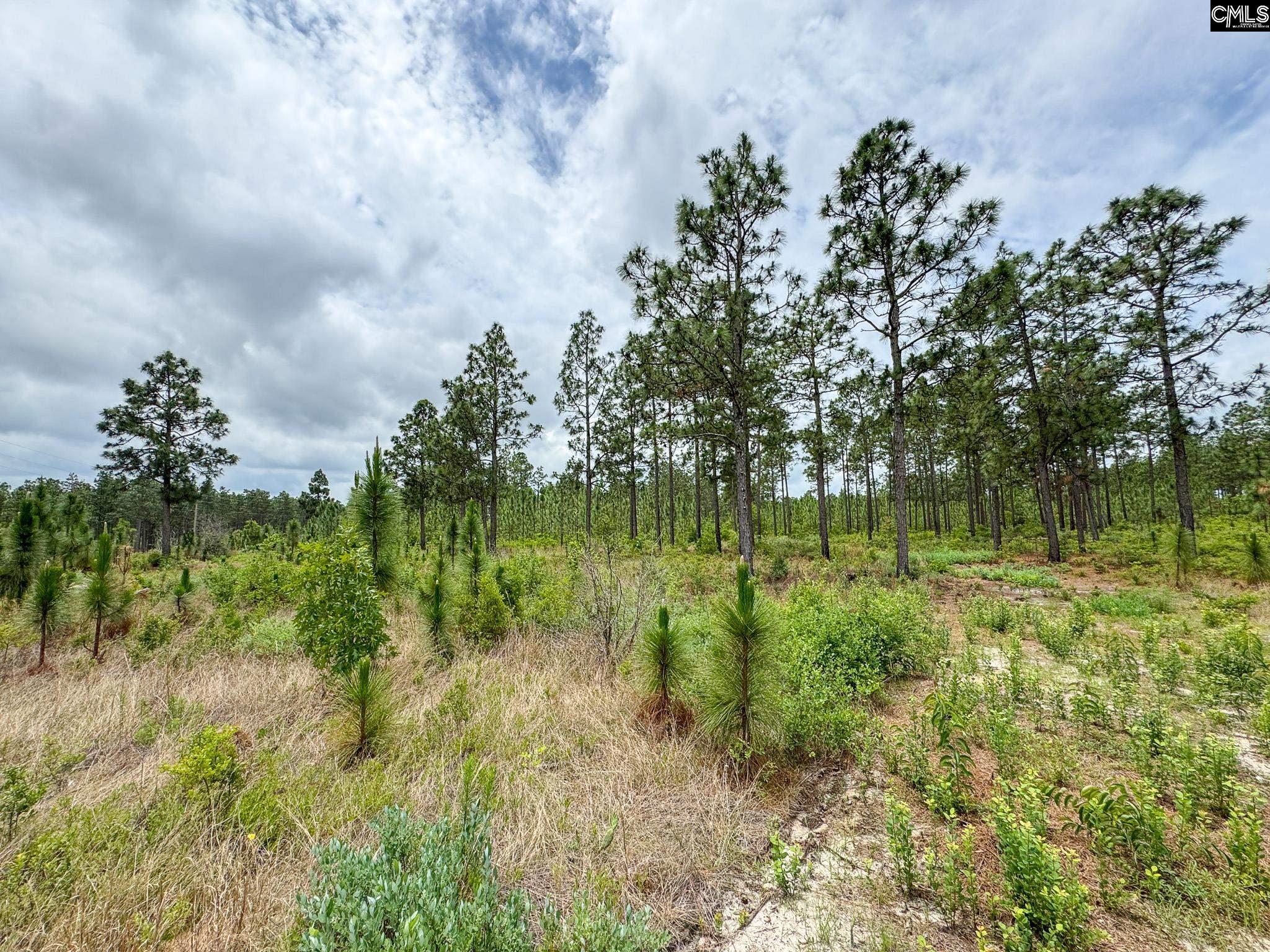 0 Neely Wingard Road, Unit LOT 12 Leesville, SC 29070 - Photo 1 of 5