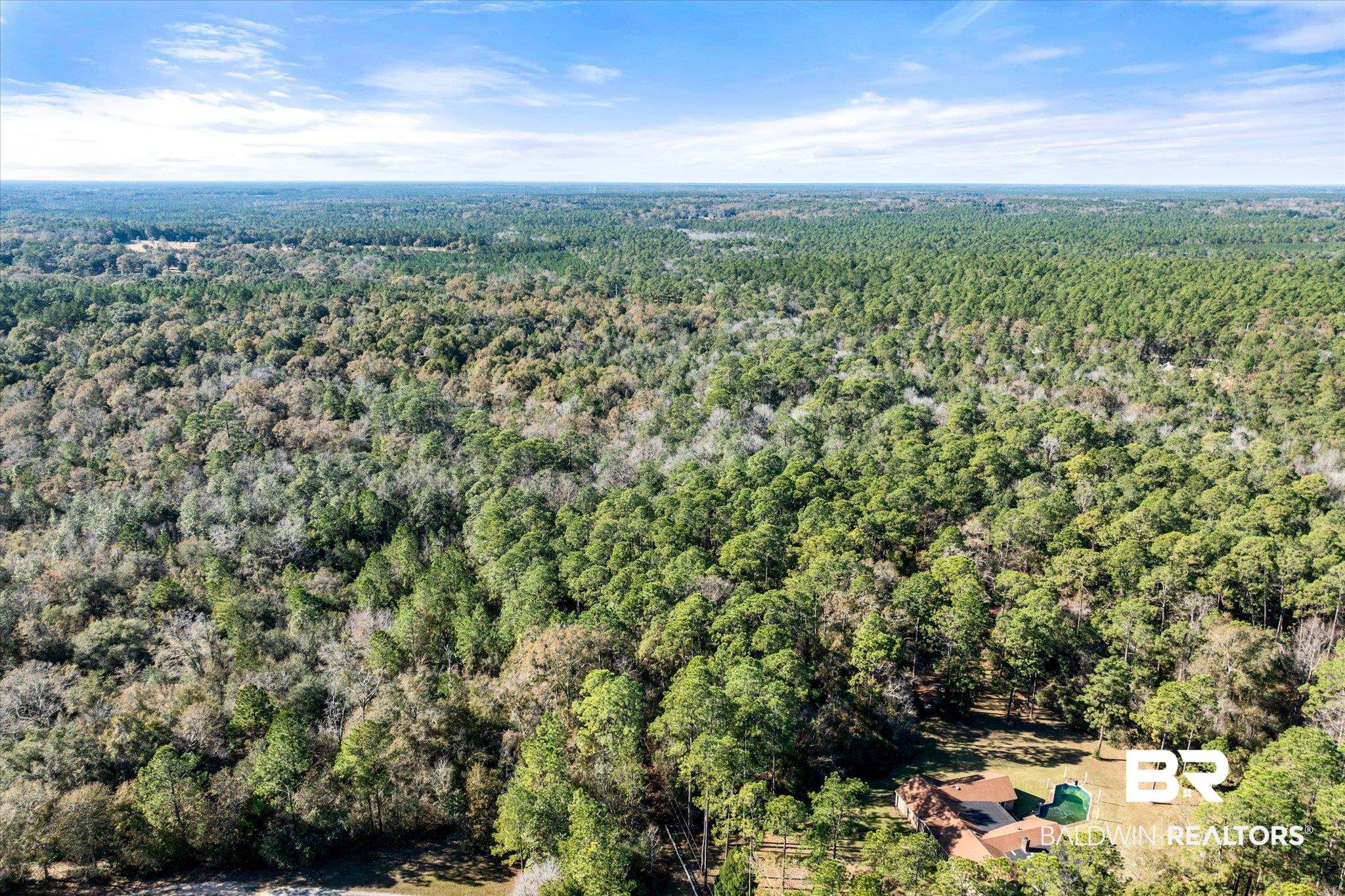 0 Oyler Lane Mobile, AL 36695 - Photo 12 of 12 Birds eye view of property
