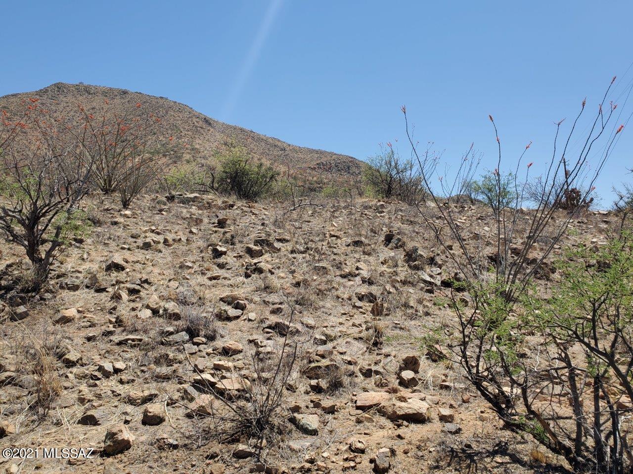 1695 Vía San Cayetano, Unit 7 Rio Rico, AZ 85648 - Photo 23 of 36