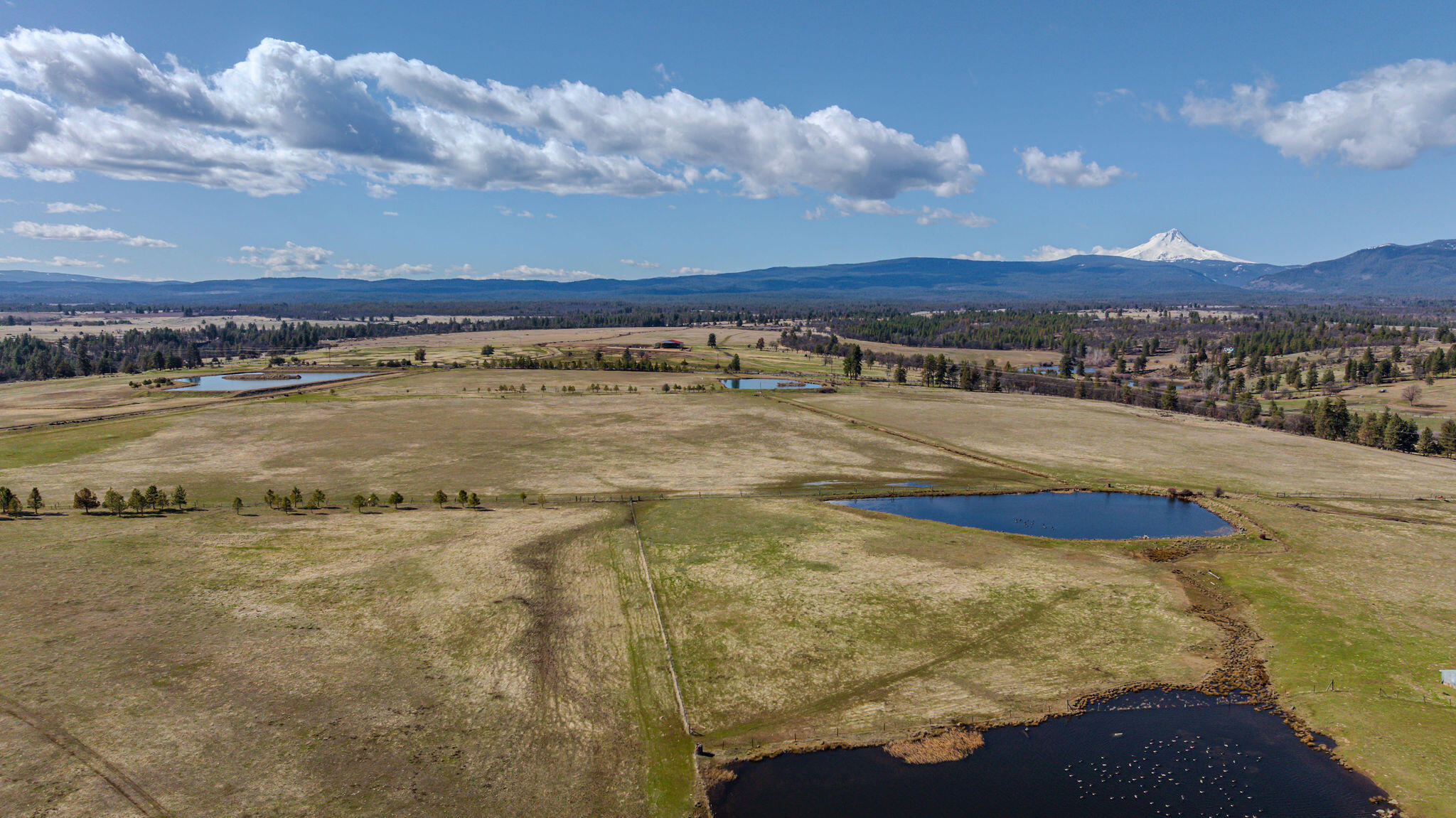56100 Smock Road Tygh Valley, OR 97063 - Photo 31 of 122 DJI_20250306131716_0266_D-HDR