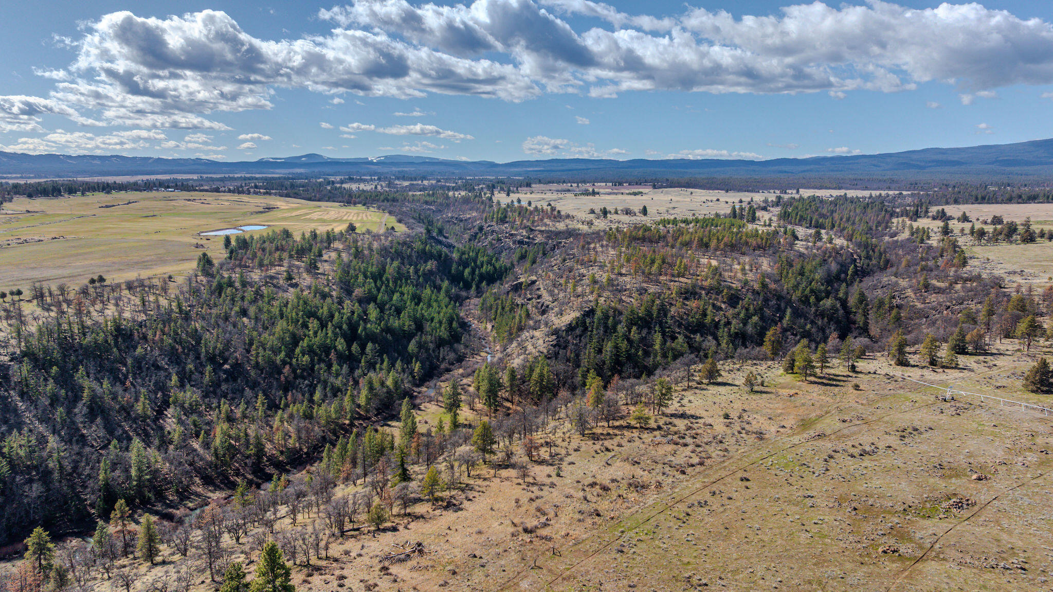 56100 Smock Road Tygh Valley, OR 97063 - Photo 35 of 122 DJI_20250306131925_0279_D-HDR