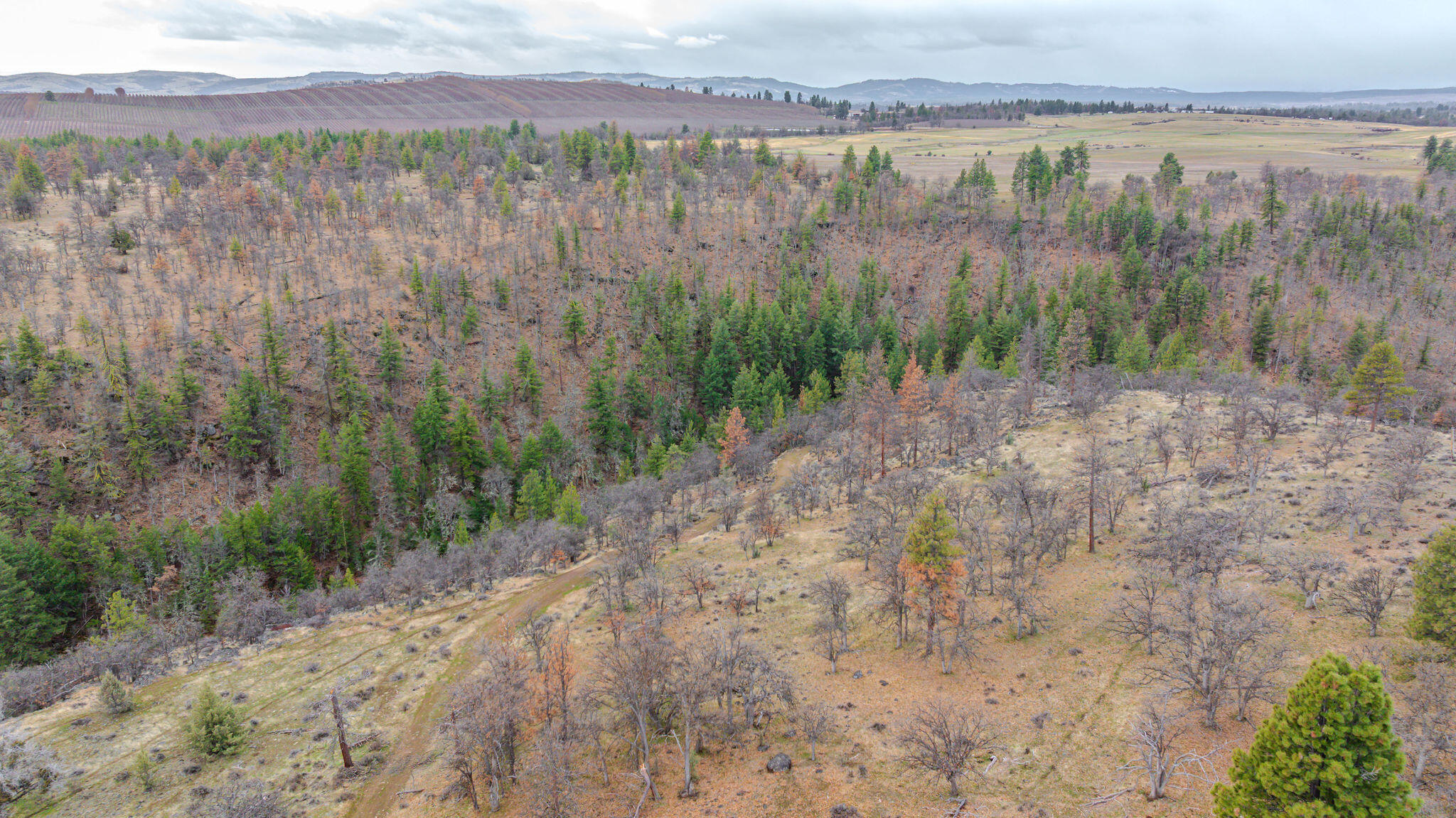 56100 Smock Road Tygh Valley, OR 97063 - Photo 57 of 122 DJI_20250304110343_0650_D-HDR