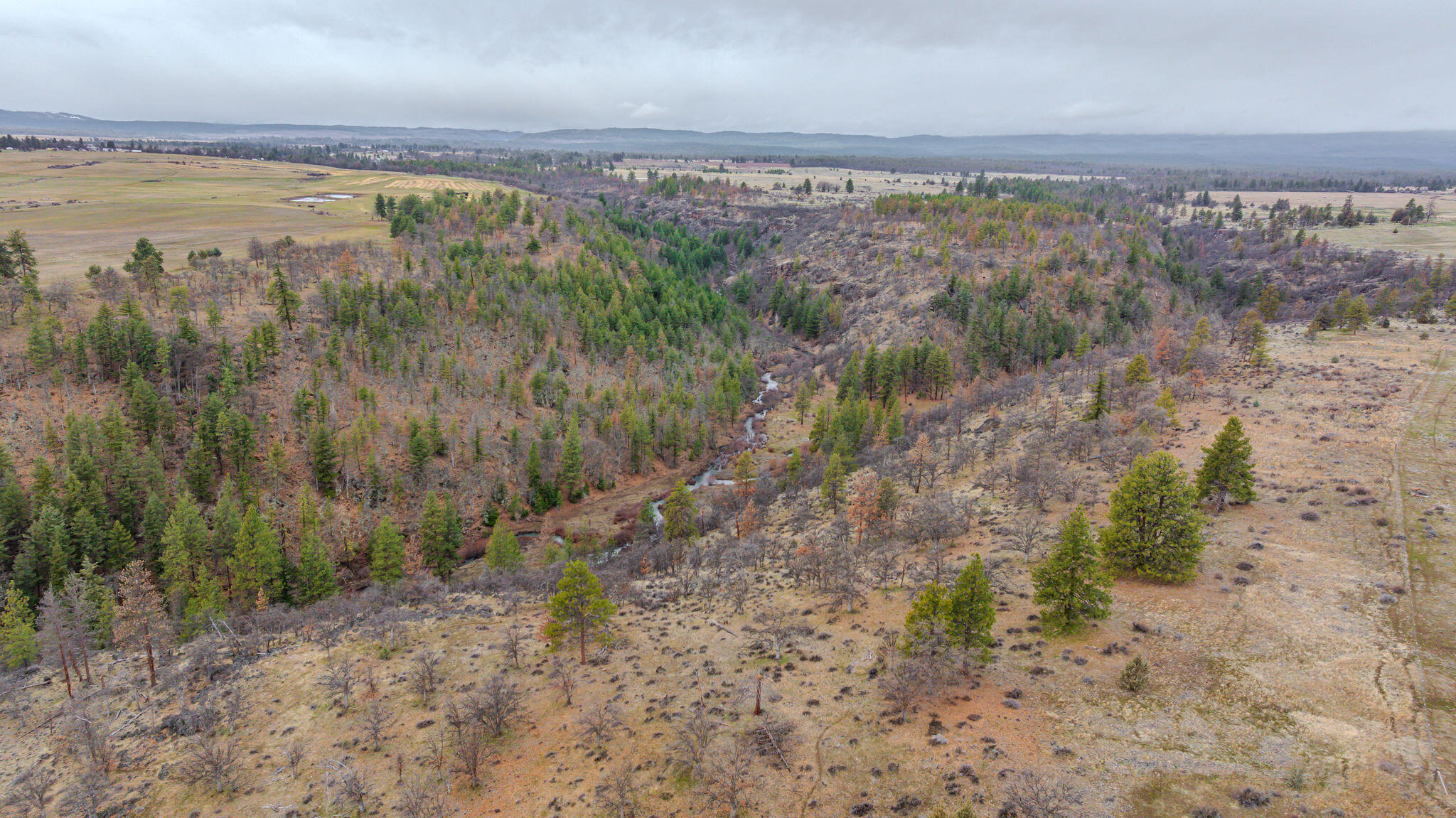 56100 Smock Road Tygh Valley, OR 97063 - Photo 58 of 122 DJI_20250304110357_0653_D-HDR