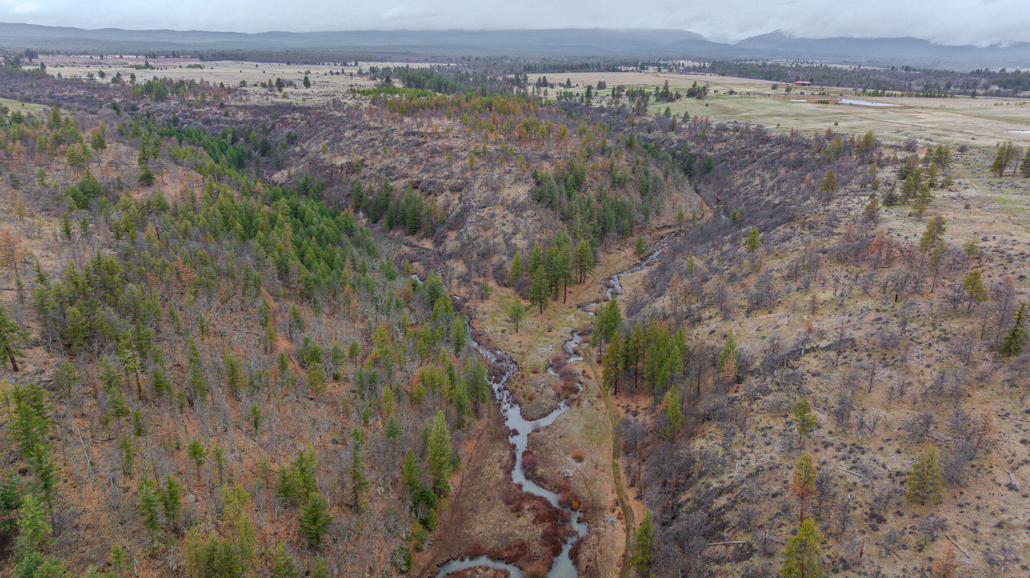 56100 Smock Road Tygh Valley, OR 97063 - Photo 59 of 122 DJI_20250304110421_0657_D-HDR
