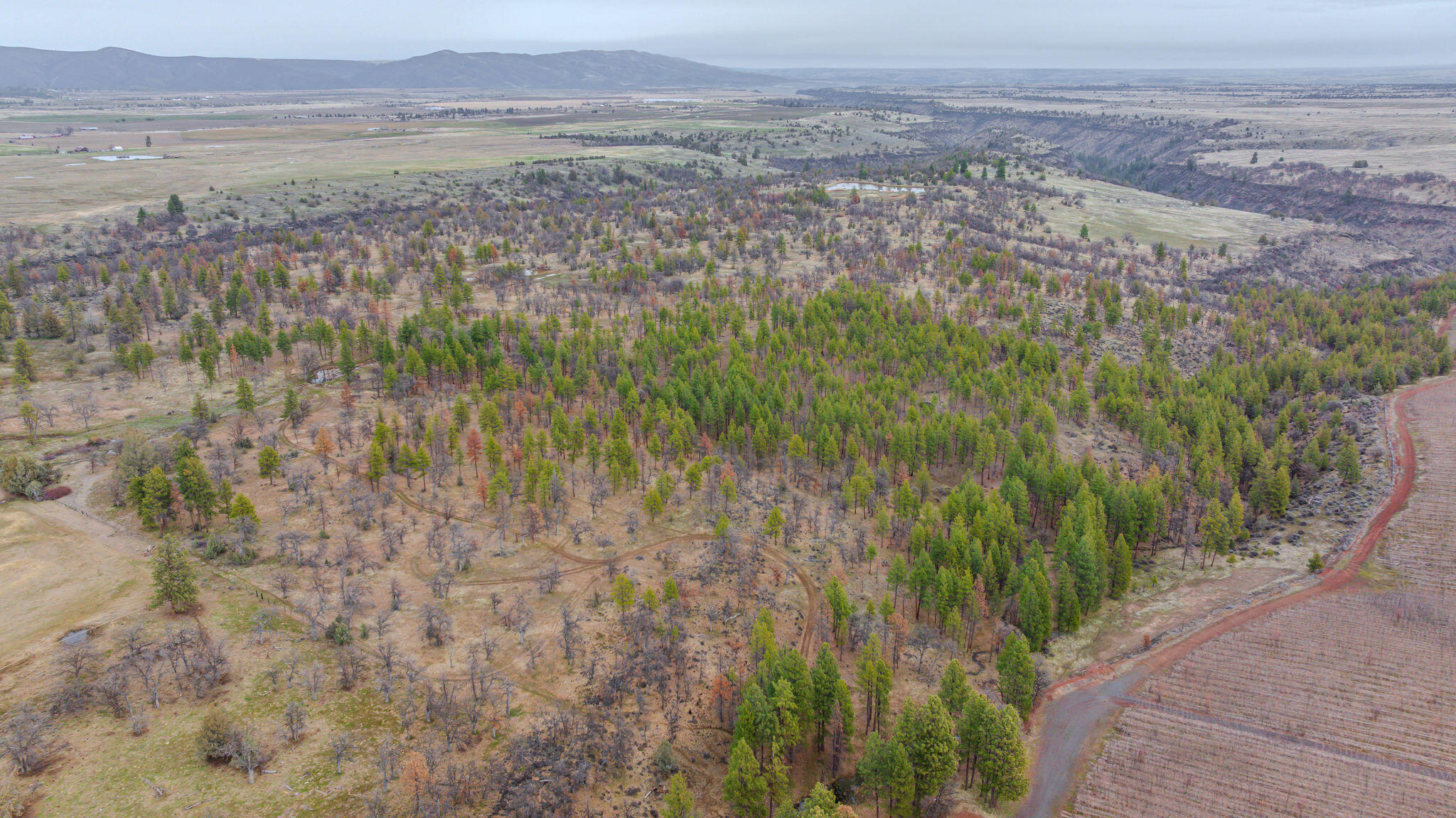 56100 Smock Road Tygh Valley, OR 97063 - Photo 60 of 122 DJI_20250304110551_0661_D-HDR