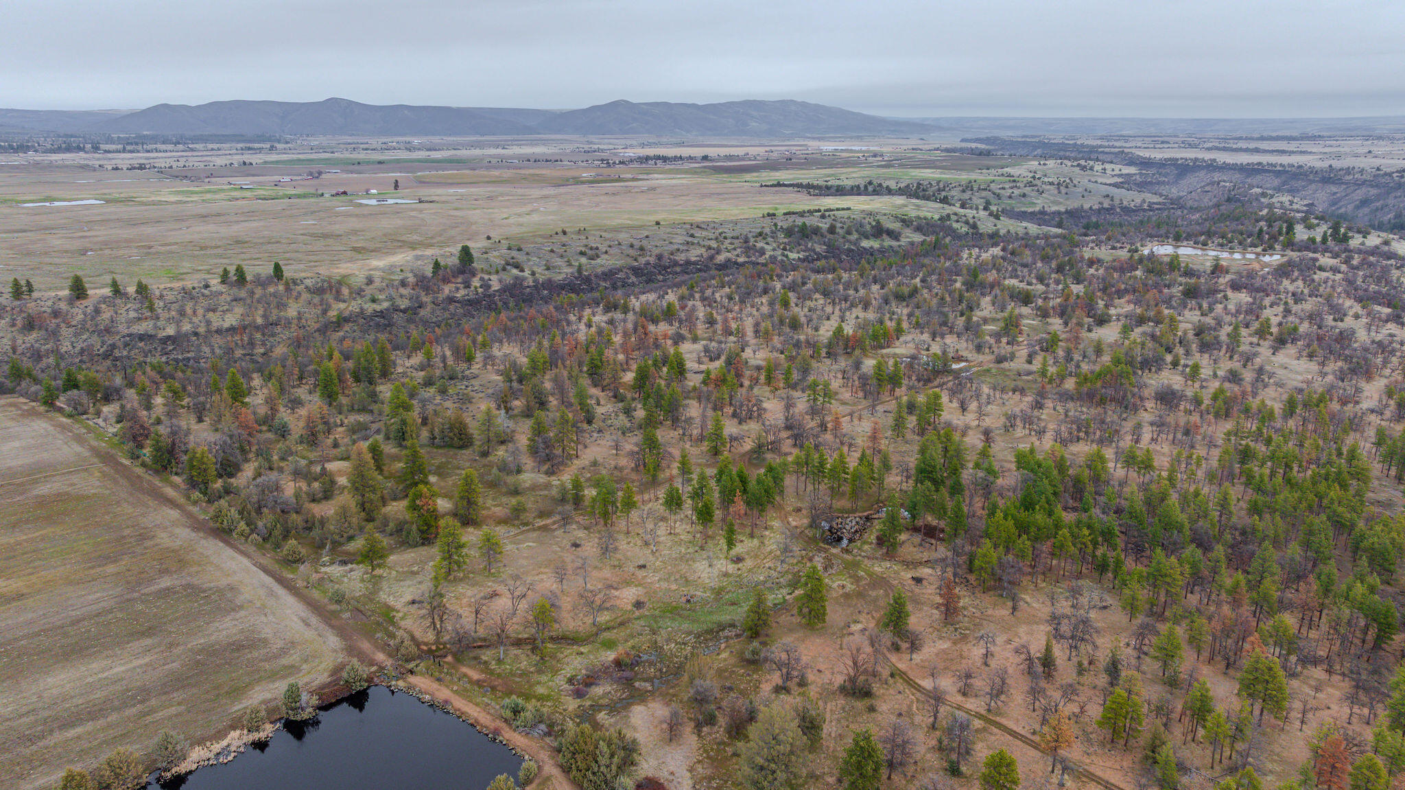 56100 Smock Road Tygh Valley, OR 97063 - Photo 61 of 122 DJI_20250304110623_0665_D-HDR