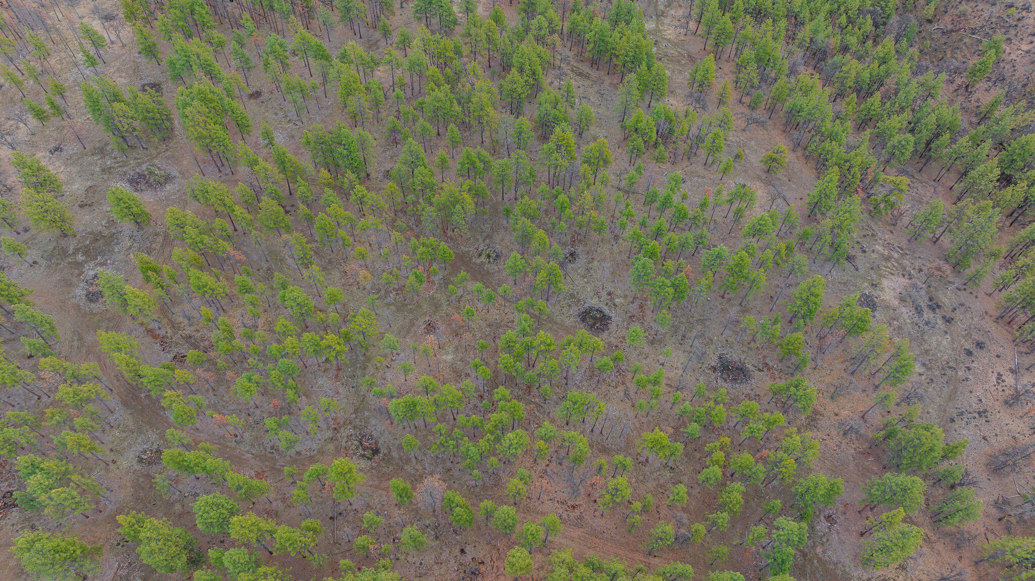 56100 Smock Road Tygh Valley, OR 97063 - Photo 62 of 122 DJI_20250304110652_0669_D-HDR