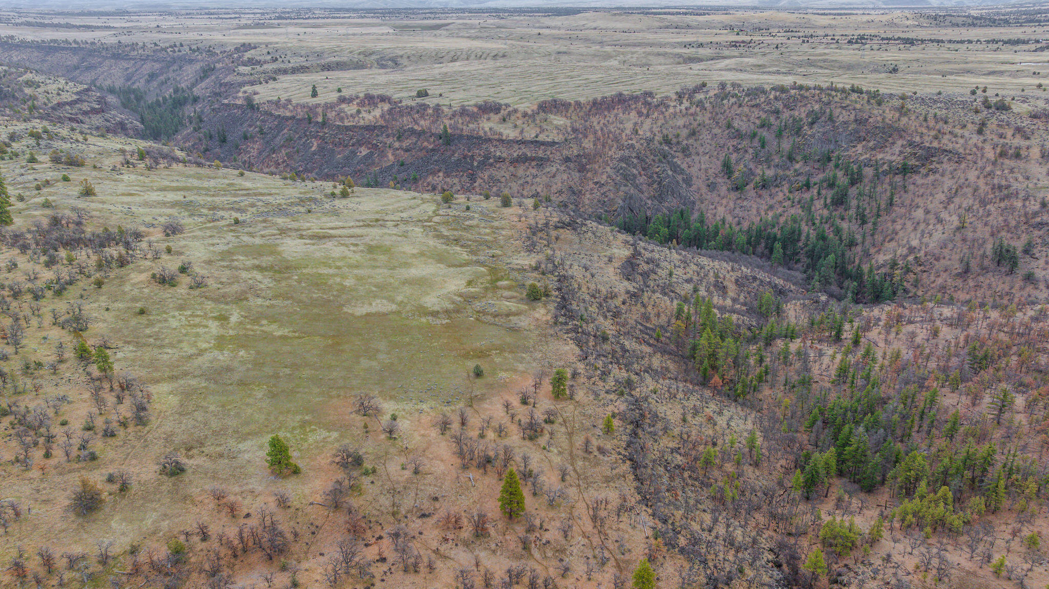 56100 Smock Road Tygh Valley, OR 97063 - Photo 63 of 122 DJI_20250304110735_0673_D-HDR