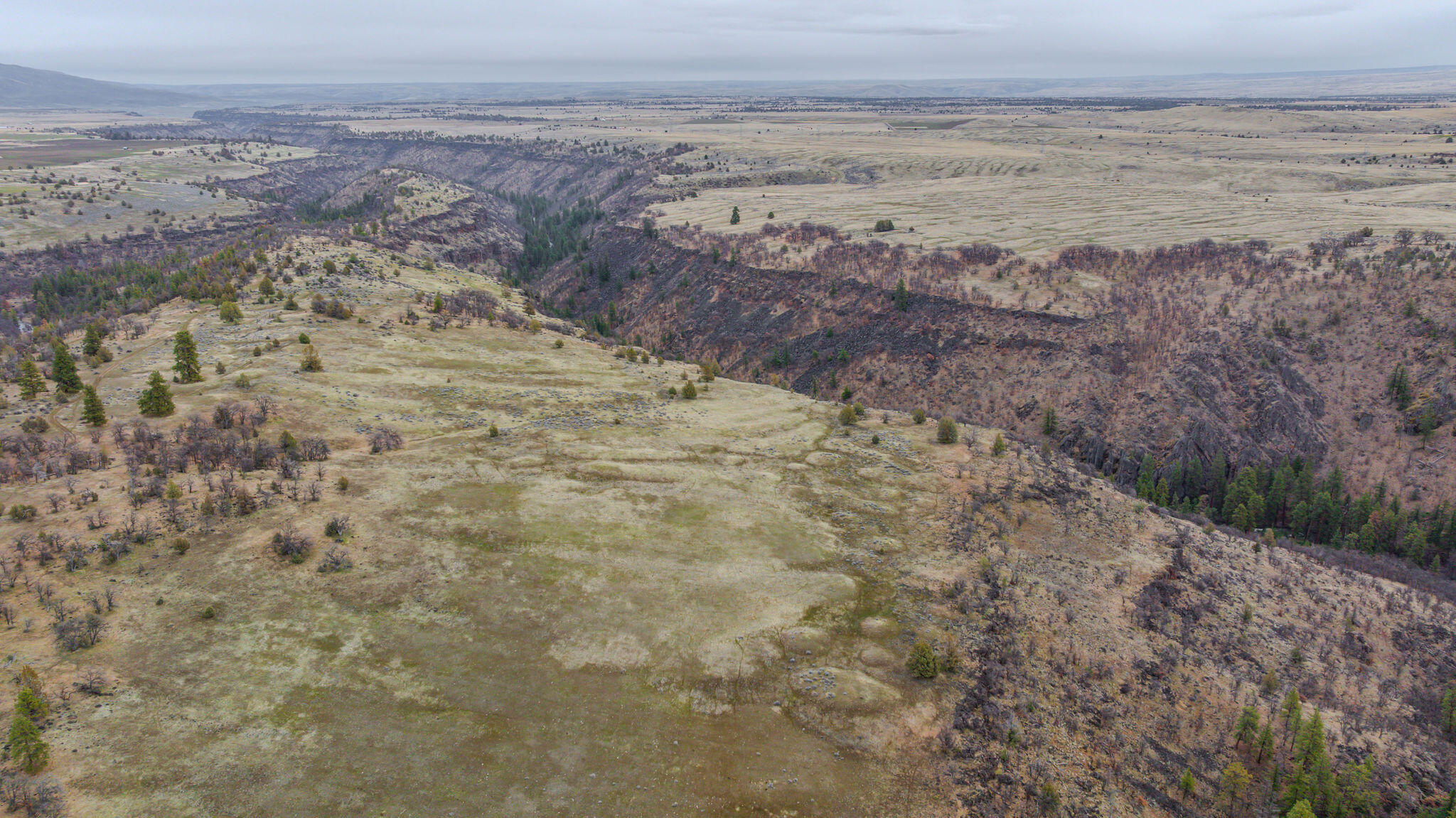 56100 Smock Road Tygh Valley, OR 97063 - Photo 64 of 122 DJI_20250304110752_0676_D-HDR