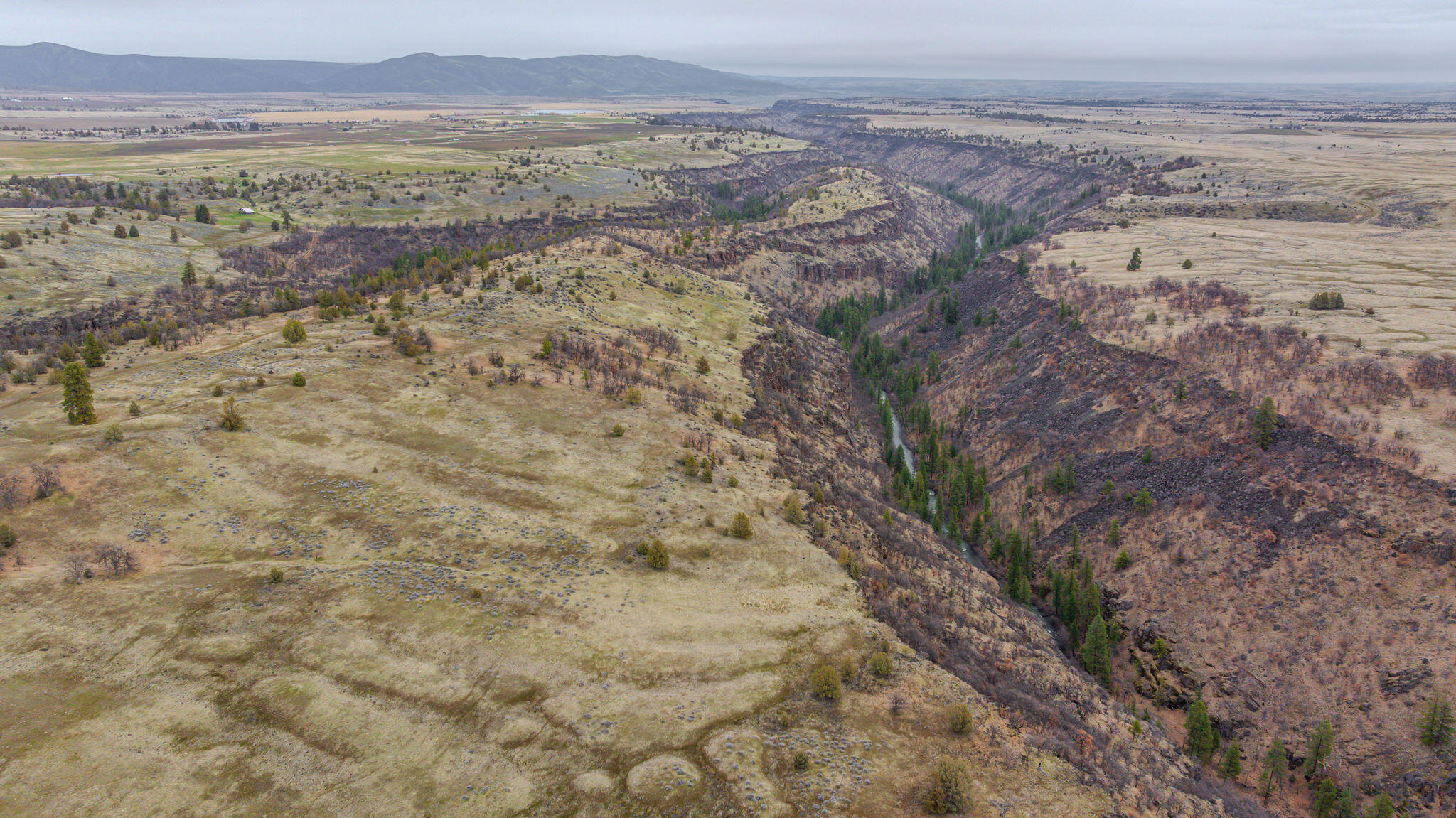 56100 Smock Road Tygh Valley, OR 97063 - Photo 65 of 122 DJI_20250304110820_0680_D-HDR