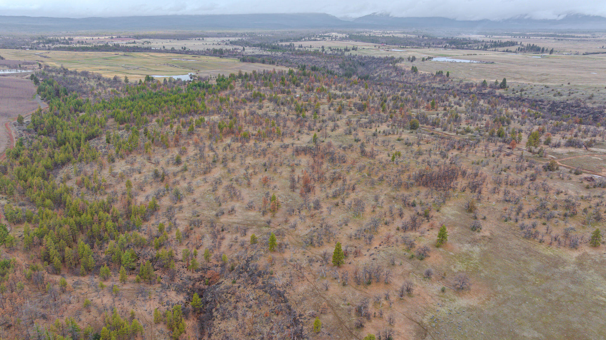 56100 Smock Road Tygh Valley, OR 97063 - Photo 66 of 122 DJI_20250304110829_0683_D-HDR
